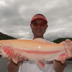 フィッシングレイクたかみや 釣果