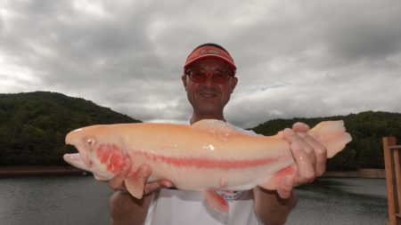 フィッシングレイクたかみや 釣果