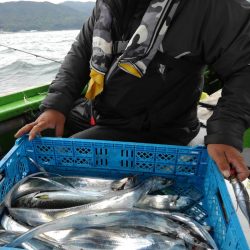 小島丸 釣果