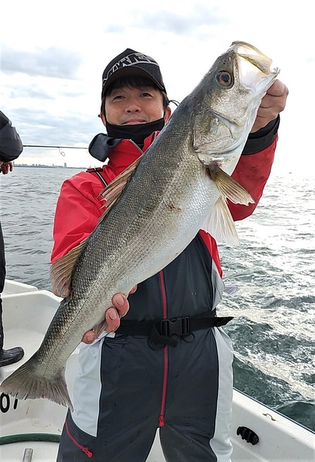 めだか屋 釣果