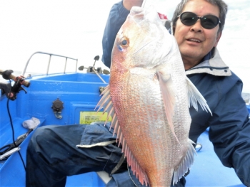 鯛紅丸 釣果