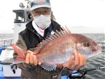 鯛紅丸 釣果