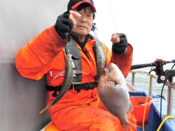 鯛紅丸 釣果