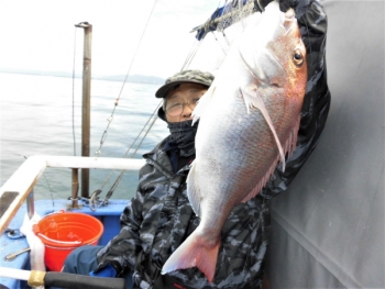 鯛紅丸 釣果