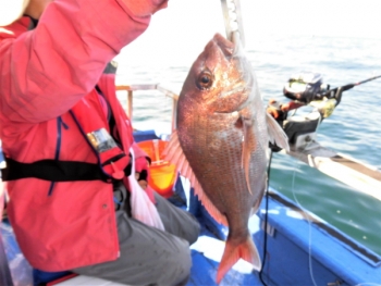 鯛紅丸 釣果