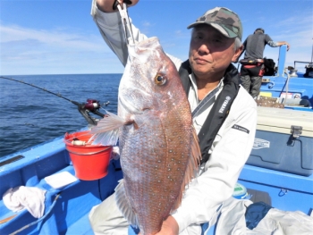 鯛紅丸 釣果