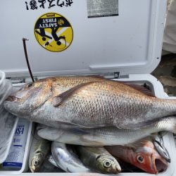 釣船 浦島太郎 釣果