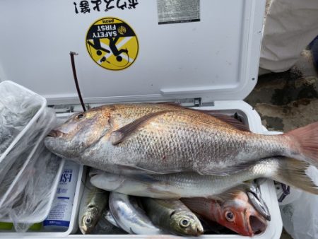 釣船 浦島太郎 釣果