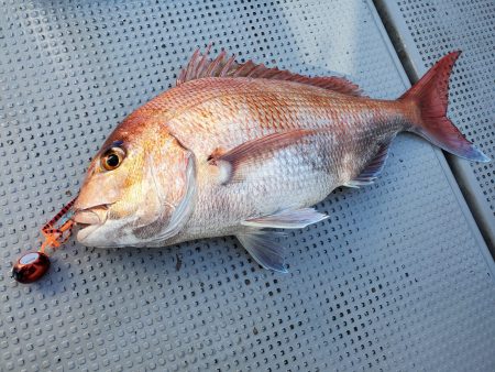 珀宝丸 釣果