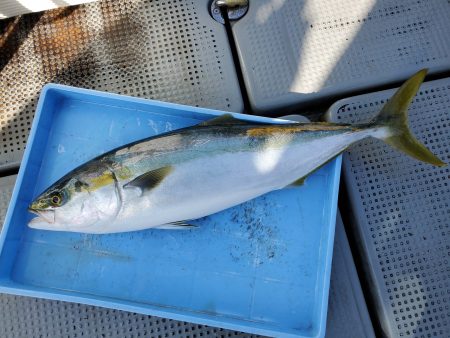 珀宝丸 釣果