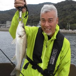 ルアー船マヒマヒ 釣果