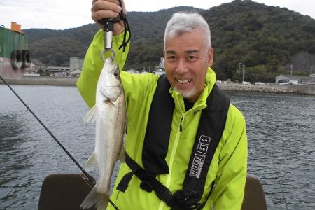 ルアー船マヒマヒ 釣果