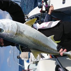 海龍丸（福岡） 釣果