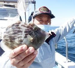 遊漁船 幸友丸 釣果