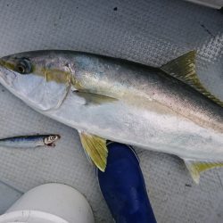 海龍丸（福岡） 釣果