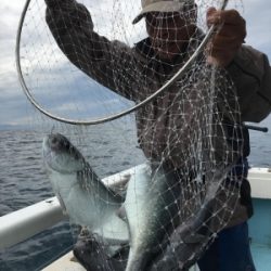 大宝丸 釣果