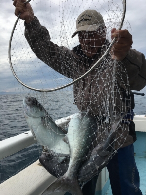 大宝丸 釣果