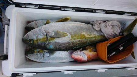 海龍丸（福岡） 釣果