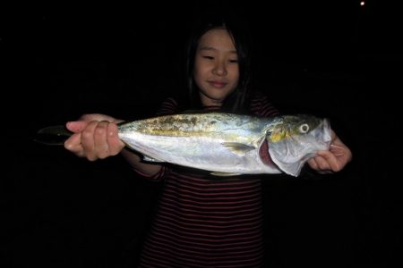 ルアー船マヒマヒ 釣果