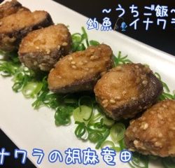 太田屋 釣果