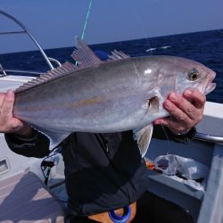 海龍丸（福岡） 釣果