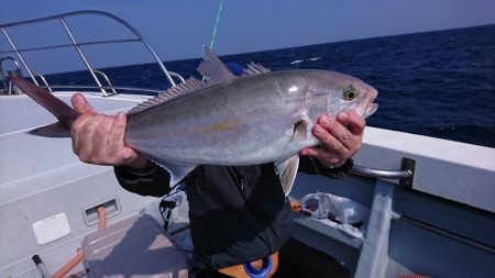 海龍丸（福岡） 釣果