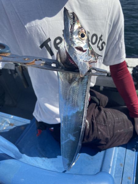 夢丸 釣果