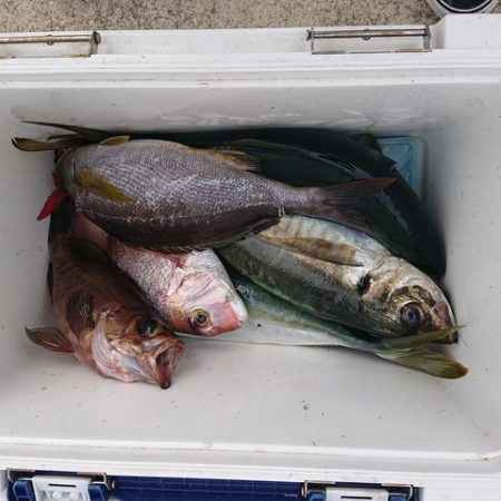 たかみ丸 釣果