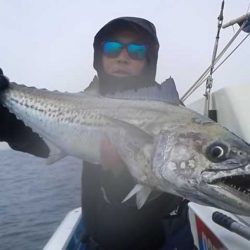 さわ浦丸 釣果