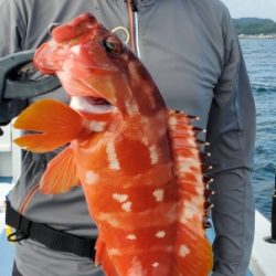 松栄丸 釣果