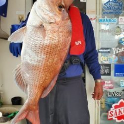 遊漁船　ニライカナイ 釣果