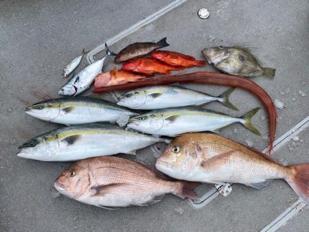 へいみつ丸 釣果