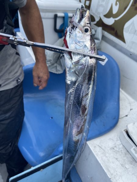 夢丸 釣果