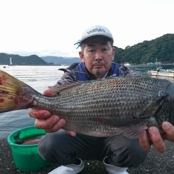 筏マルキ 釣果