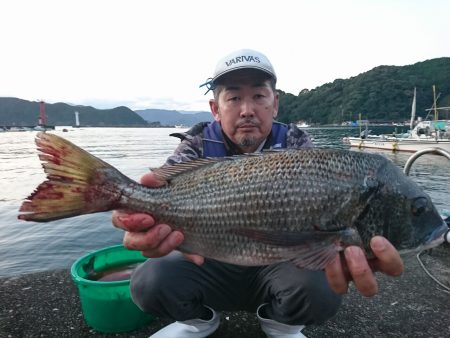 筏マルキ 釣果