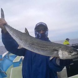 さわ浦丸 釣果