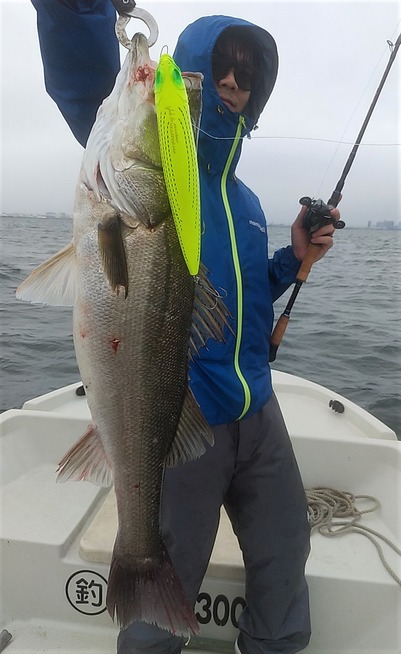 めだか屋 釣果