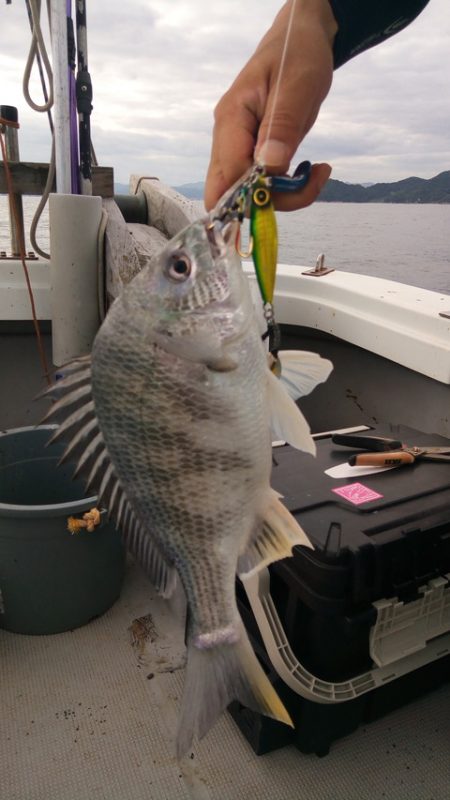 弘福丸 釣果