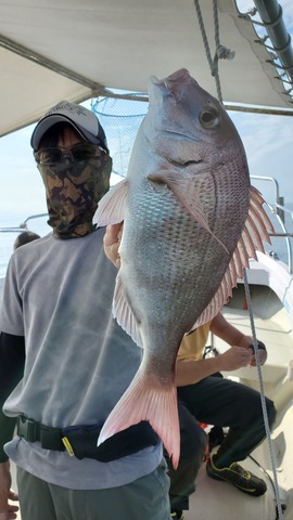 遊漁船　ニライカナイ 釣果