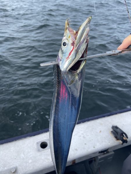 夢丸 釣果