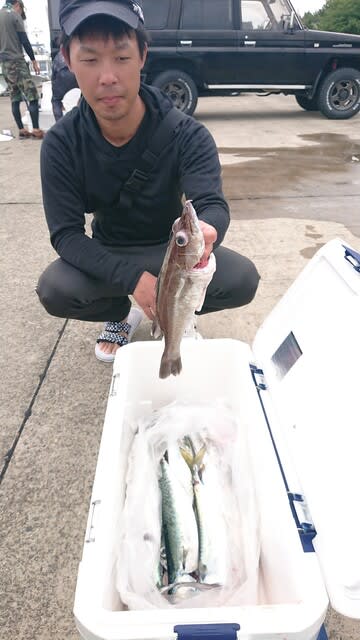 浅間丸 釣果