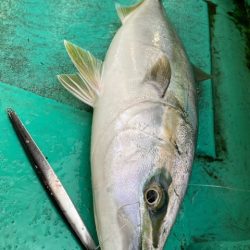 広進丸 釣果