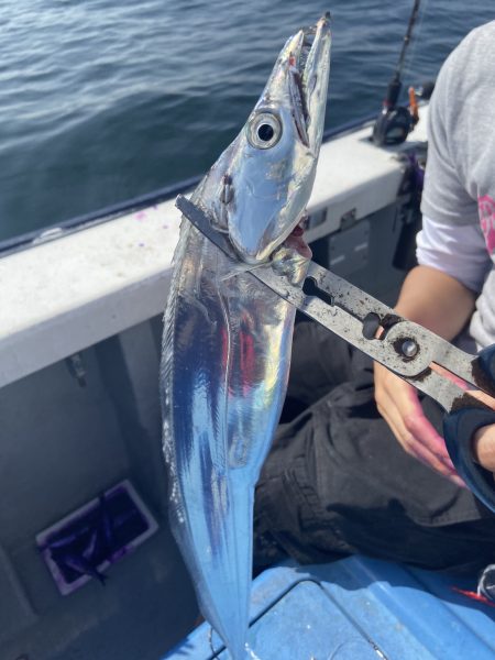 夢丸 釣果