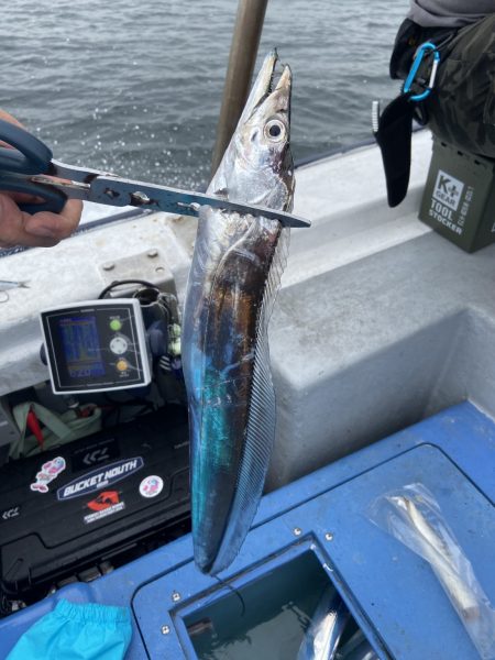 夢丸 釣果