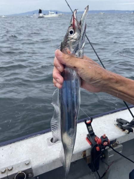 夢丸 釣果