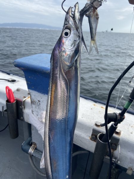 夢丸 釣果