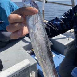 夢丸 釣果