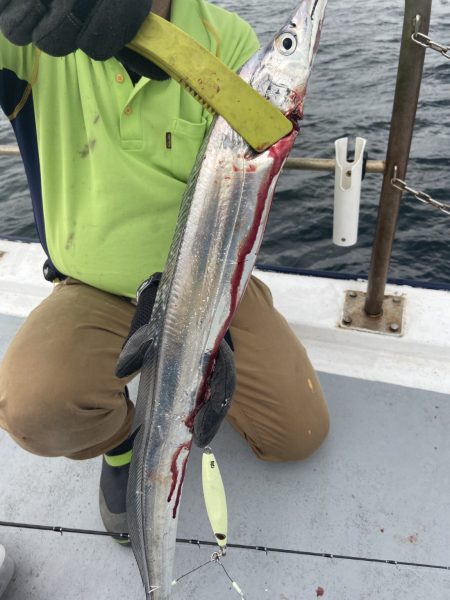 夢丸 釣果