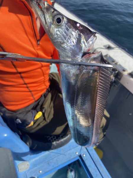 夢丸 釣果