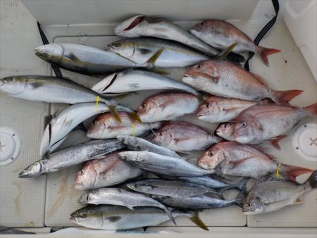 ＨＡＲＵＫＡ丸　はるかまる 釣果